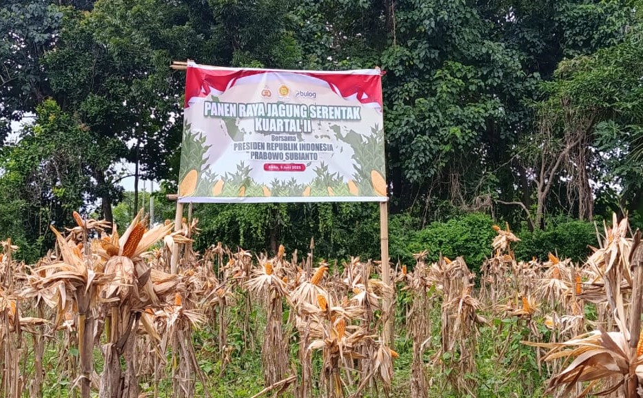 Panen Raya Jagung Serentak Kuartal II : Bersama Presiden Republik Indonesia Prabowo Subianto