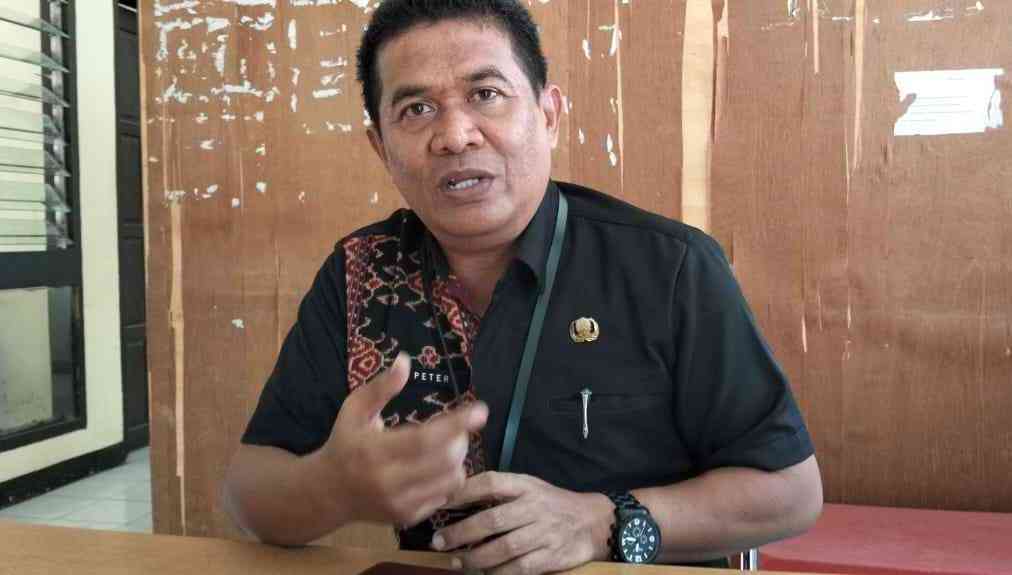 Makan Bergizi Gratis, Strategi Pengembangan Kualitas SDM dan Penguatan Ekonomi Rakyat di Kabupaten Sikka